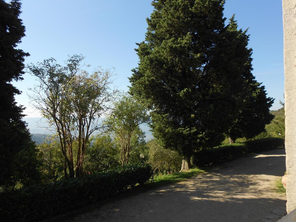 Fattoria Il Praticino Villa Castelfranco di Sopra Eksteriør bilde